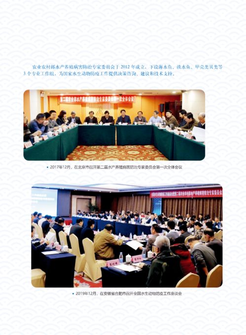 輝煌成就 水產(chǎn)技術(shù)推廣三十年回顧（第五期）——疫病防控、質(zhì)量安全與網(wǎng)絡(luò)技術(shù)服務(wù)的革新之路